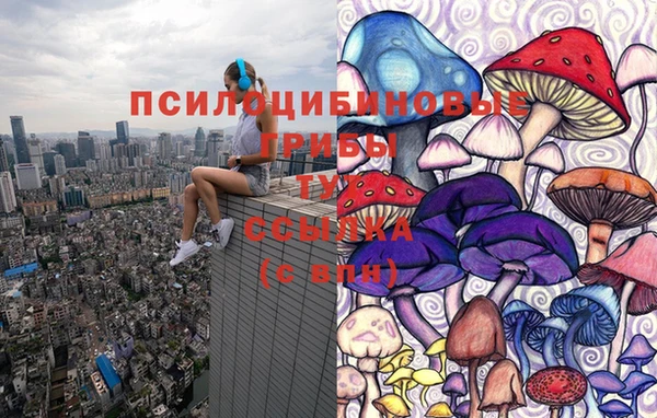 круглые Беломорск