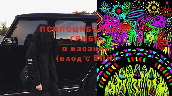 2c-b Белоозёрский