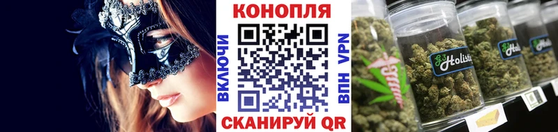где продают наркотики  Севск  Каннабис ГИДРОПОН 